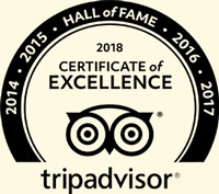 Tripadvisor Hall of Fame awards